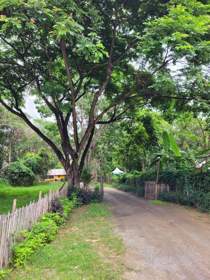 Brookhouse At Khaoyai Villa Ban Khanong Phra Klang Ngoại thất bức ảnh
